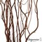 Uniquewise 12 pcs Natural Decorative Dry Branches Authentic Sticks, Home Decoration and Wedding Craft, DIY Greenery Plants Craft Vases fillers Garden Hotel Farmhouse Decor